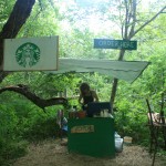grande opening in the woods
